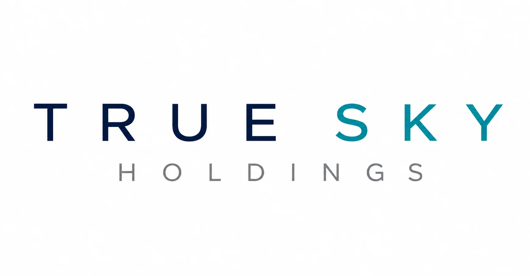 True Sky Holdings